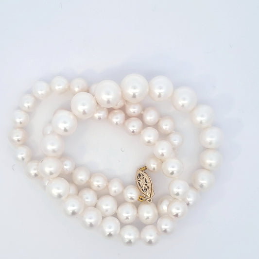 Pearl Necklace