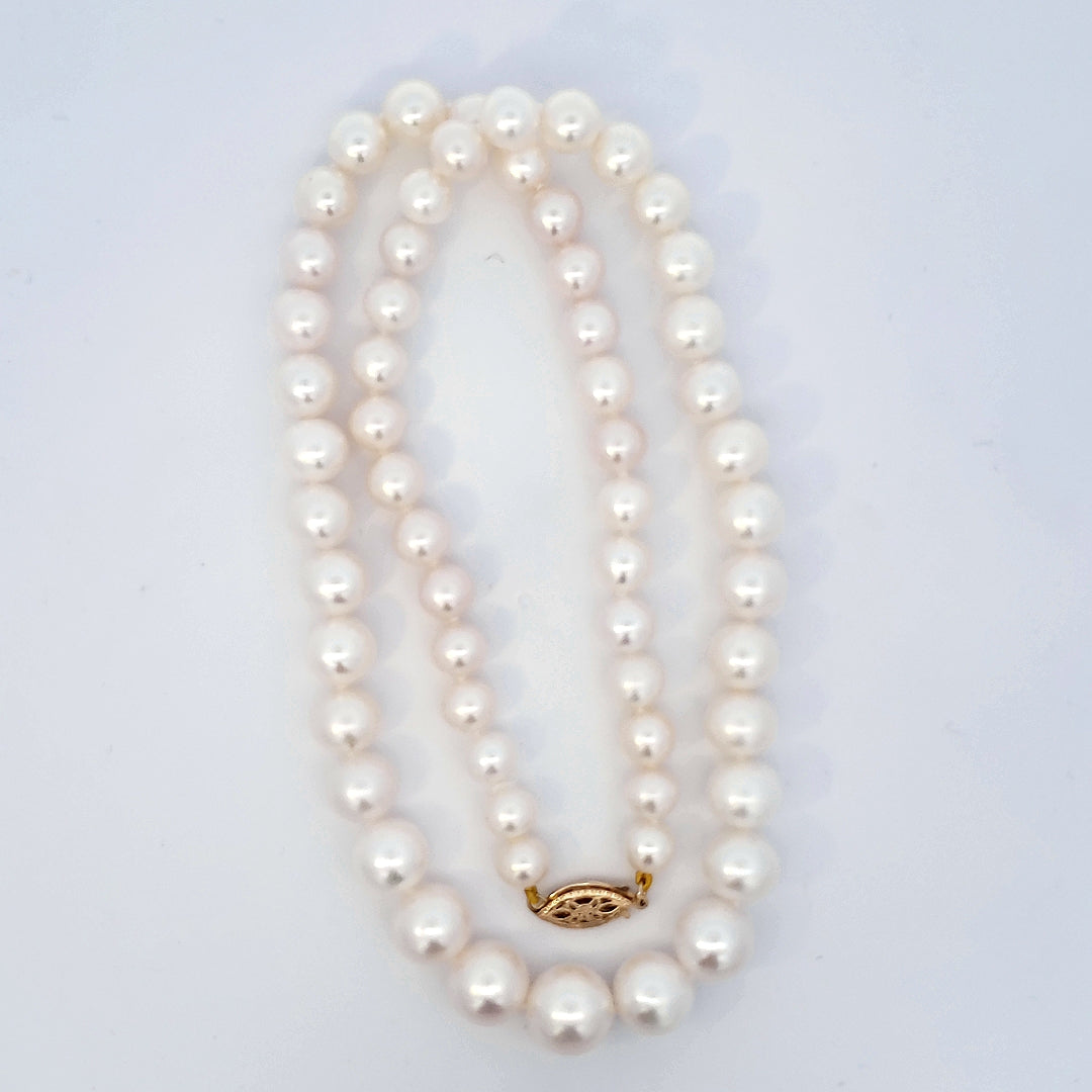 Pearl Necklace