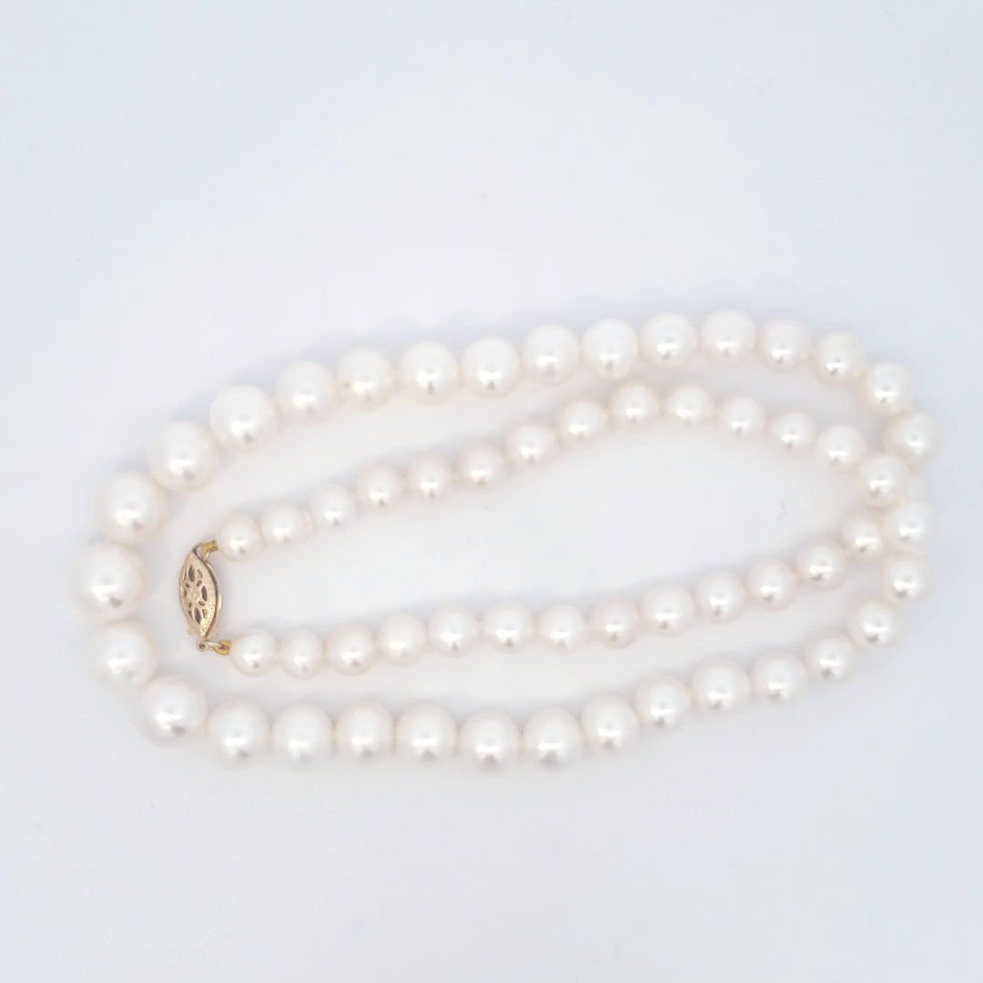 Pearl Necklace