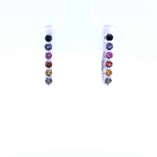 Colored Stone Earring